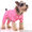Одежда для собак - Изображение #1, Объявление #366537