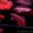  Золотой красный arowana на продажу - Изображение #1, Объявление #495037
