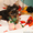продам красивых щенков йоркширского терьера - Изображение #2, Объявление #714637