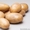 Качественный семенной картофель - Изображение #2, Объявление #1396520