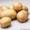 КХ «Нива» уже давно зарекомендовало себя как качественного производителя картофе - Изображение #1, Объявление #1406541
