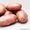 Картофель 3,5+, некондиция, нестандарт - Изображение #2, Объявление #1436380