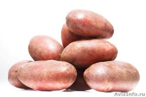 Качественный семенной картофель - Изображение #1, Объявление #1396520