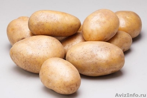 Качественный семенной картофель - Изображение #2, Объявление #1396520