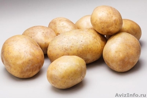 КХ «Нива» уже давно зарекомендовало себя как качественного производителя картофе - Изображение #1, Объявление #1406541