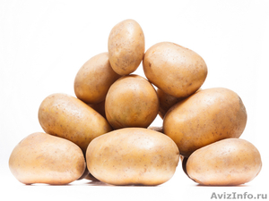 Элитный семенной картофель отличного качества - Изображение #2, Объявление #1540783