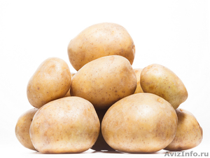 Элитный семенной картофель отличного качества - Изображение #1, Объявление #1540783